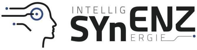 (Archiv) 2019 SYnENZ-Veranstaltungen